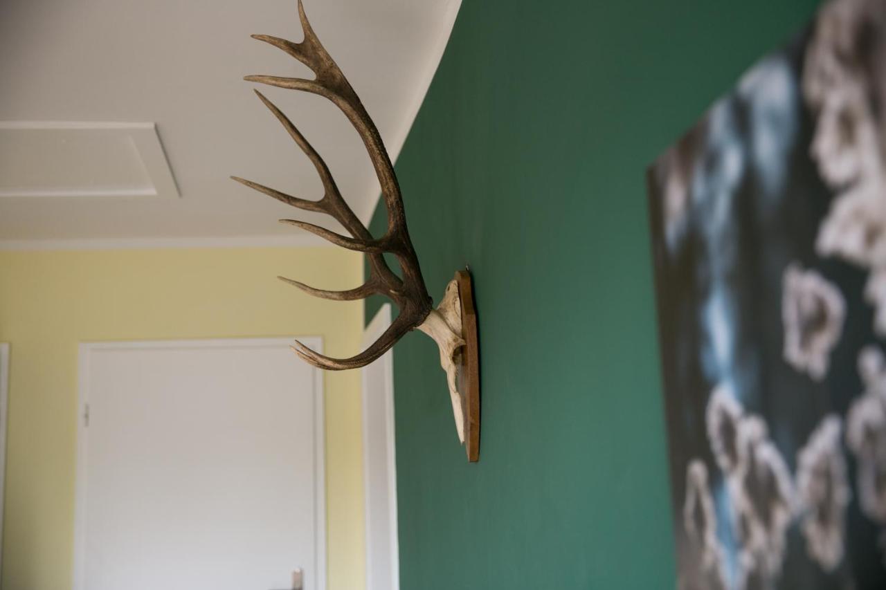 Mcdreyer Ferienwohnung Dedelstorf Extérieur photo